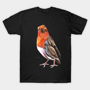 Robin 2 T-Shirt